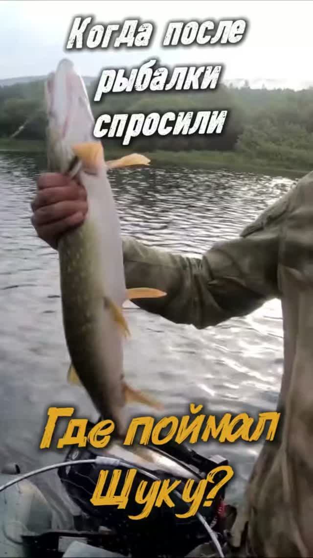 Когда спросили где поймал щуку?
