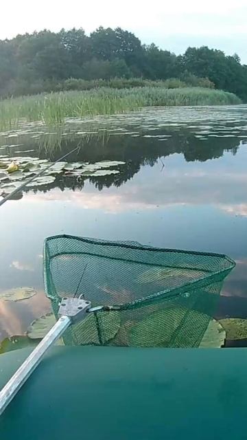 Надо это сказать как спастись