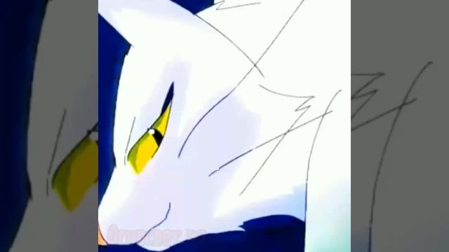 Коты-воители Эдит с Бураном