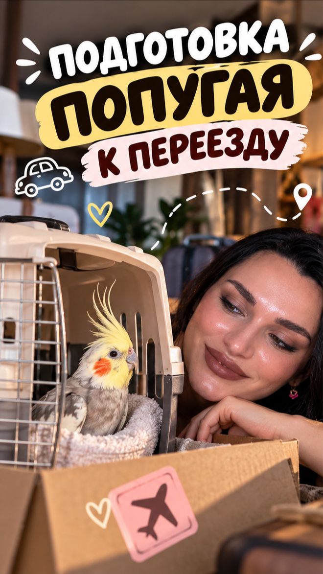 Подготовка попугая к переезду