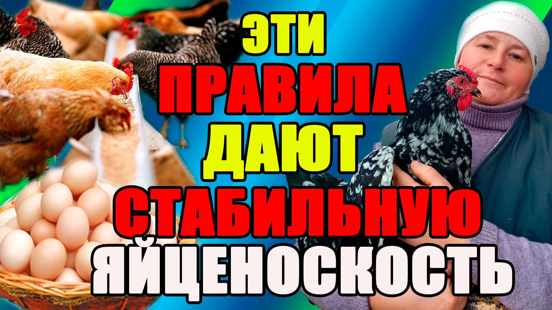 Эти ПРАВИЛА дают СТАБИЛЬНУЮ яйценоскость.