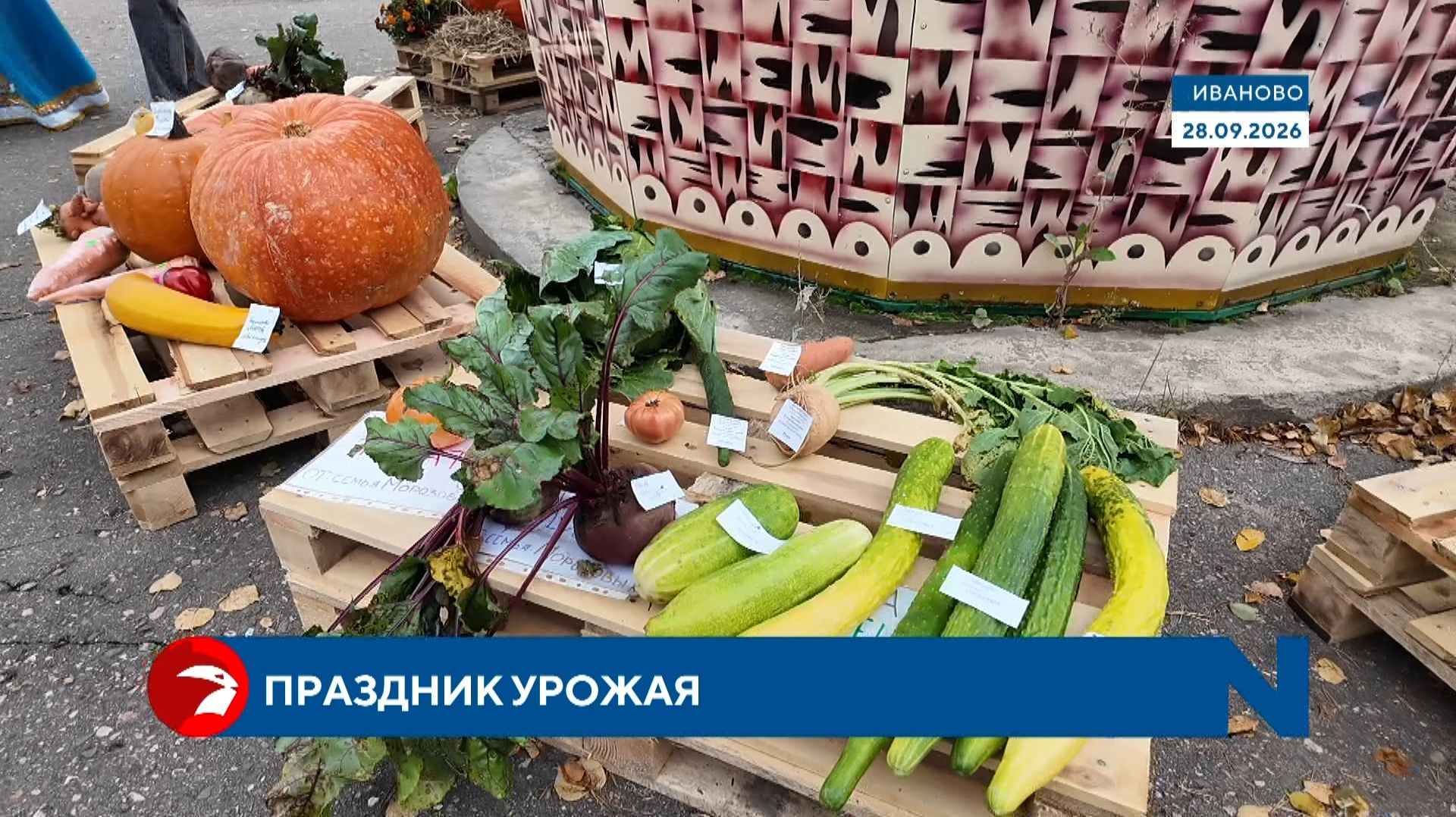 В Иванове прошел традиционный День урожая