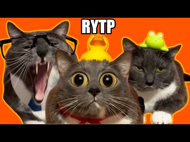КАБИНЕТ ПОЕХАВШИХ - НОВЫЙ ПЕРДУН | Kotiynet RYTP