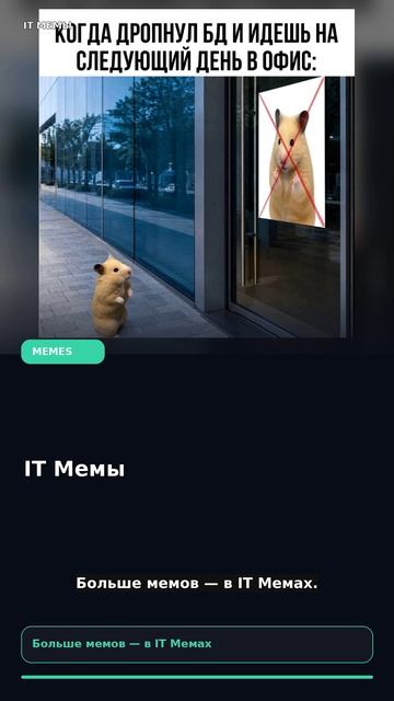IT Мемы