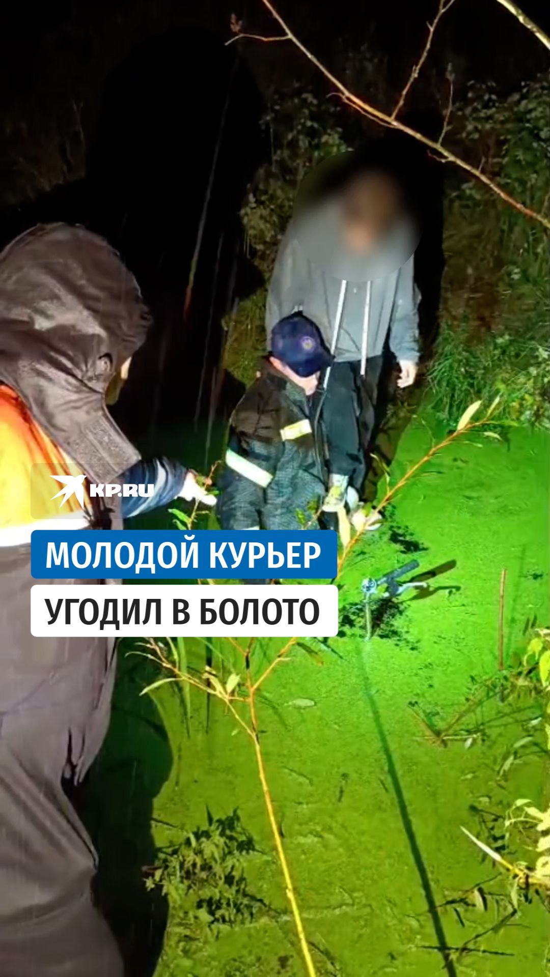 Спасатели помогли курьеру выбраться из болота под Дубной