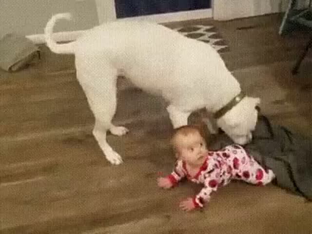 БЫВАЕТ