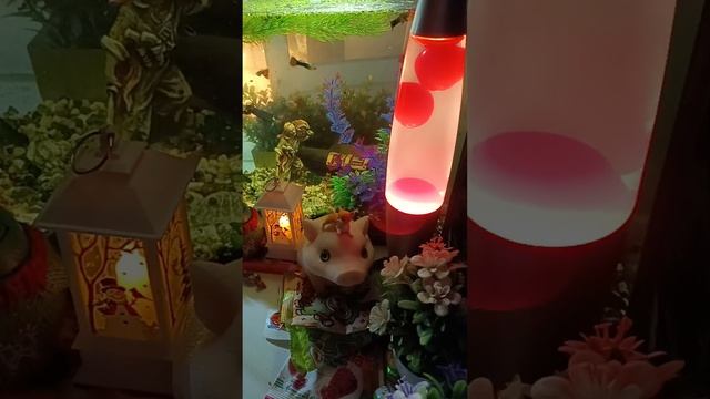 ASMR Chocolate Live!