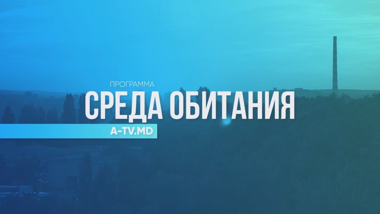 Среда обитания 29-07. Cедьмая волна.
