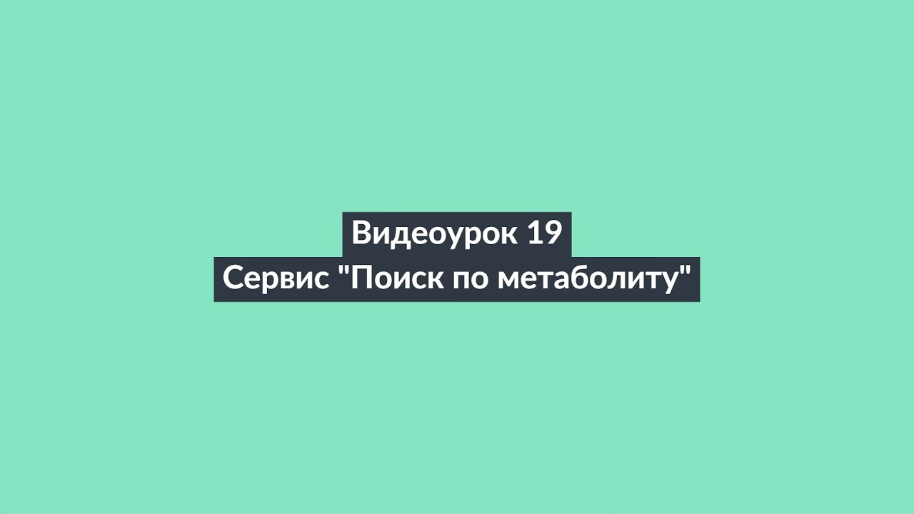 АИПСИН. Видеоурок 19. Сервис 