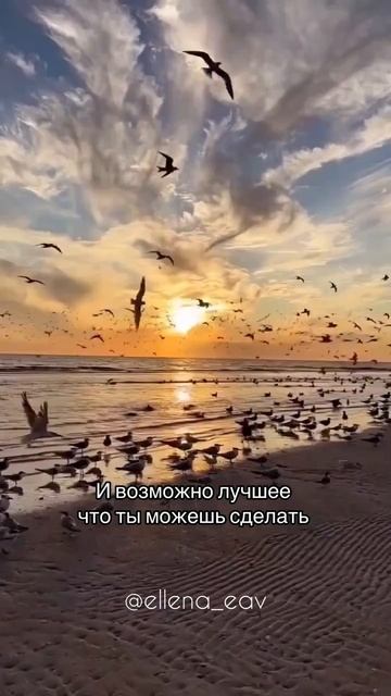 ✨ Мудрые слова...