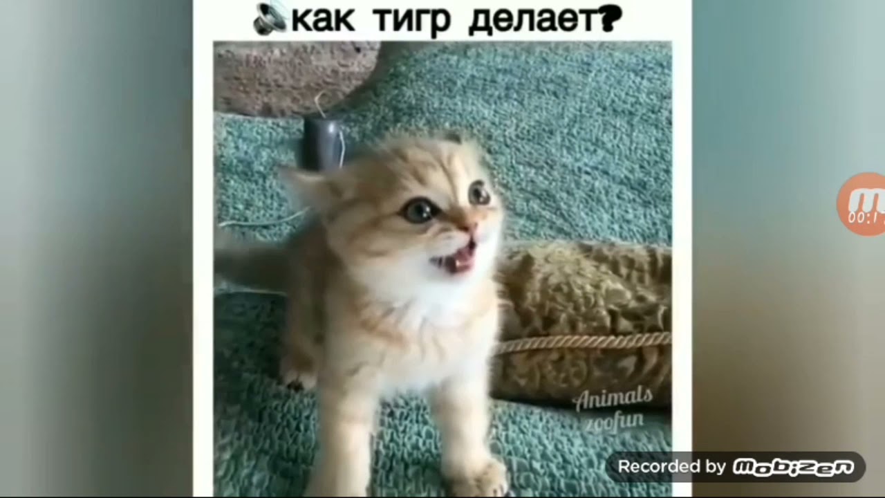 29 октября 2021 г.