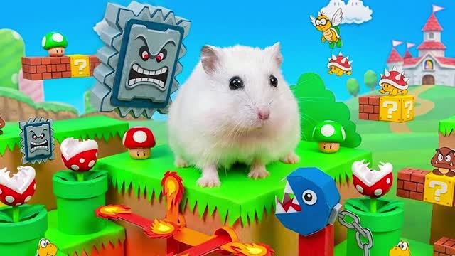 Хомяк в мультяшном лабиринте! 🐹 Смешной побег хомячка из ловушки