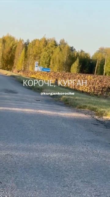 😍 Рысь увидели в Кетовском округе.
