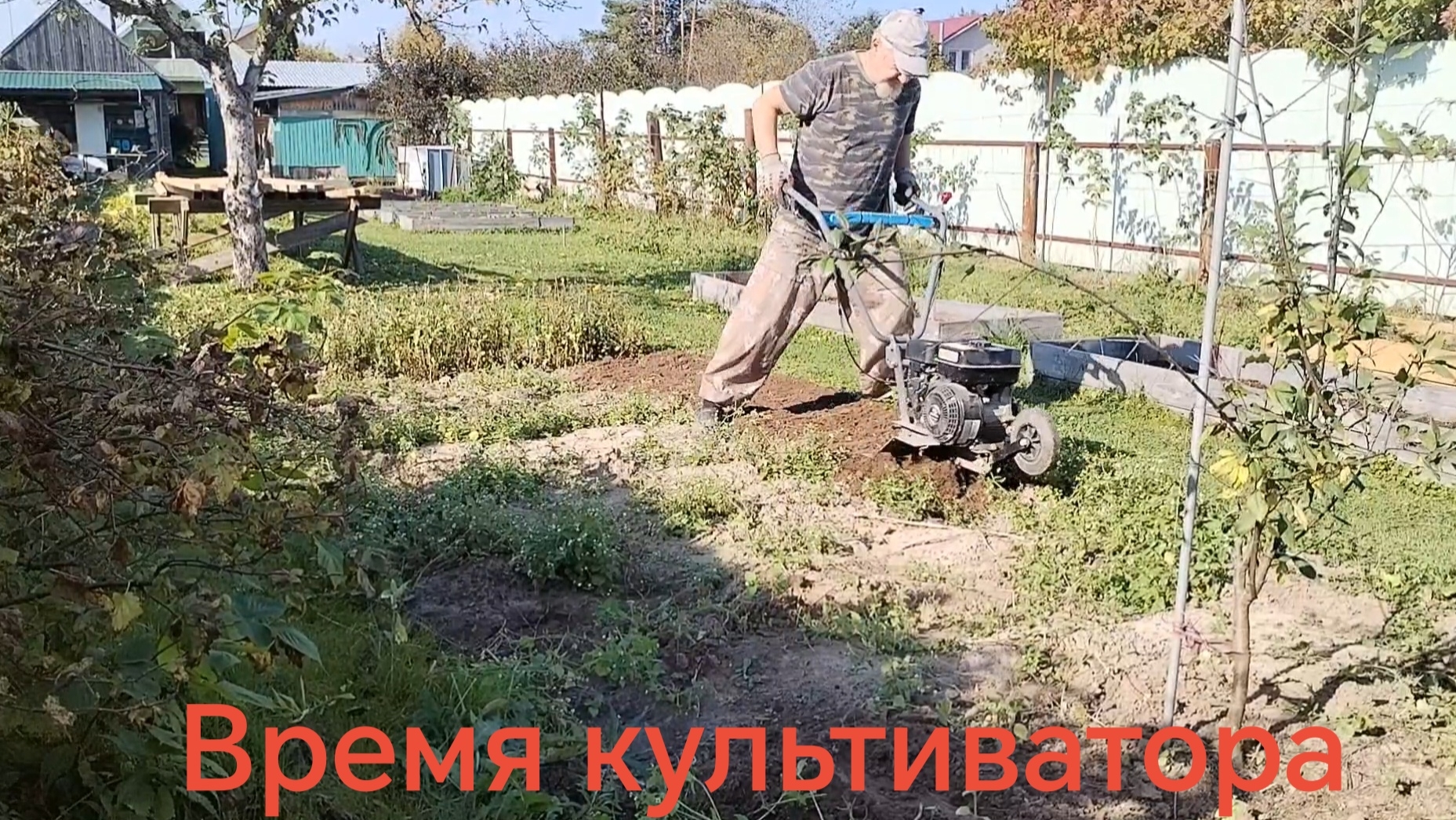 Время культиватора пришло. 25-09-2026