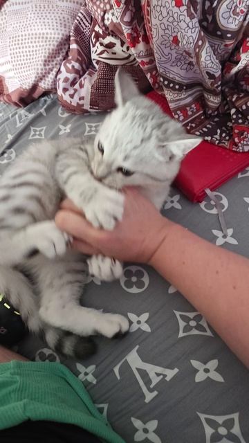 Помощник в работе)