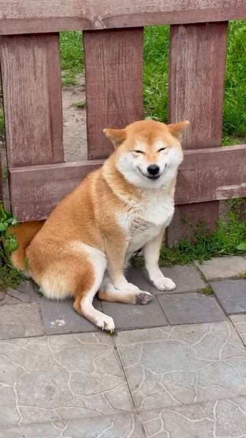 Подпишись на нас в Соц Сетях👇👇👇