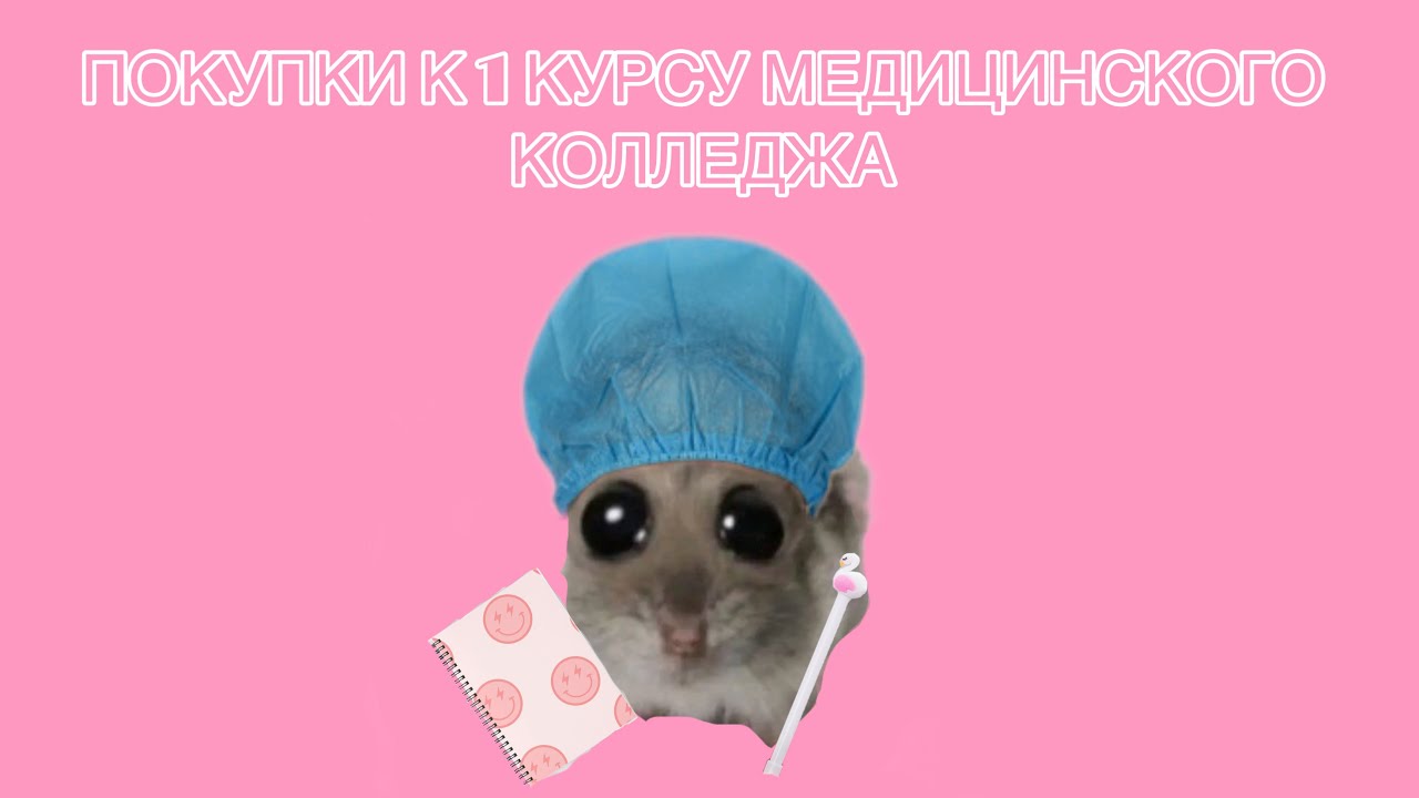 ЧТО КУПИТЬ НА 1 КУРС В МЕДИЦИНСКИЙ КОЛЛЕДЖ?//СТУДЕНТ МЕДА//МЕДИЦИНСКИЙ КОЛЛЕДЖ//ANASTASIA SHERMAN