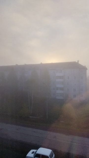 туман