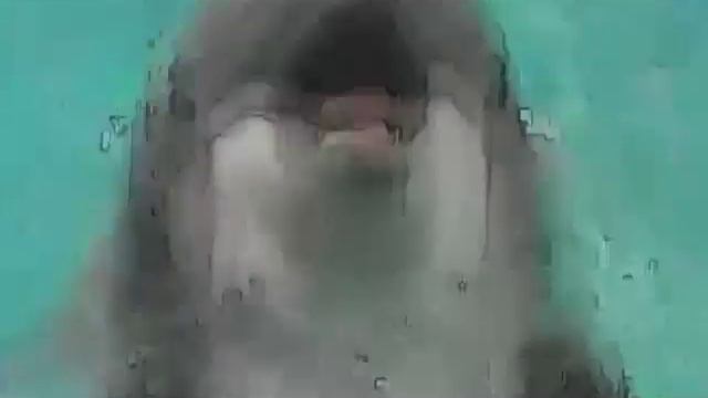 КОМЕДИЯ РОК На берегу Прекрасной Вселенной!))