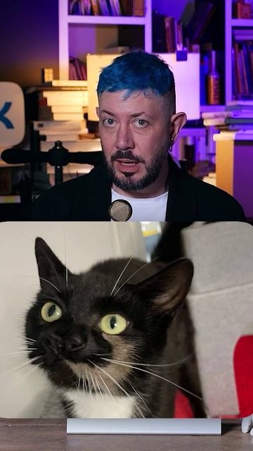 Temalebedev_1698688500_7294972243967233298