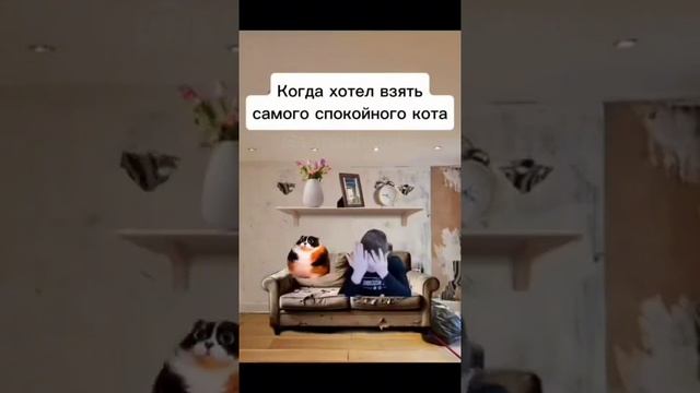 мелл