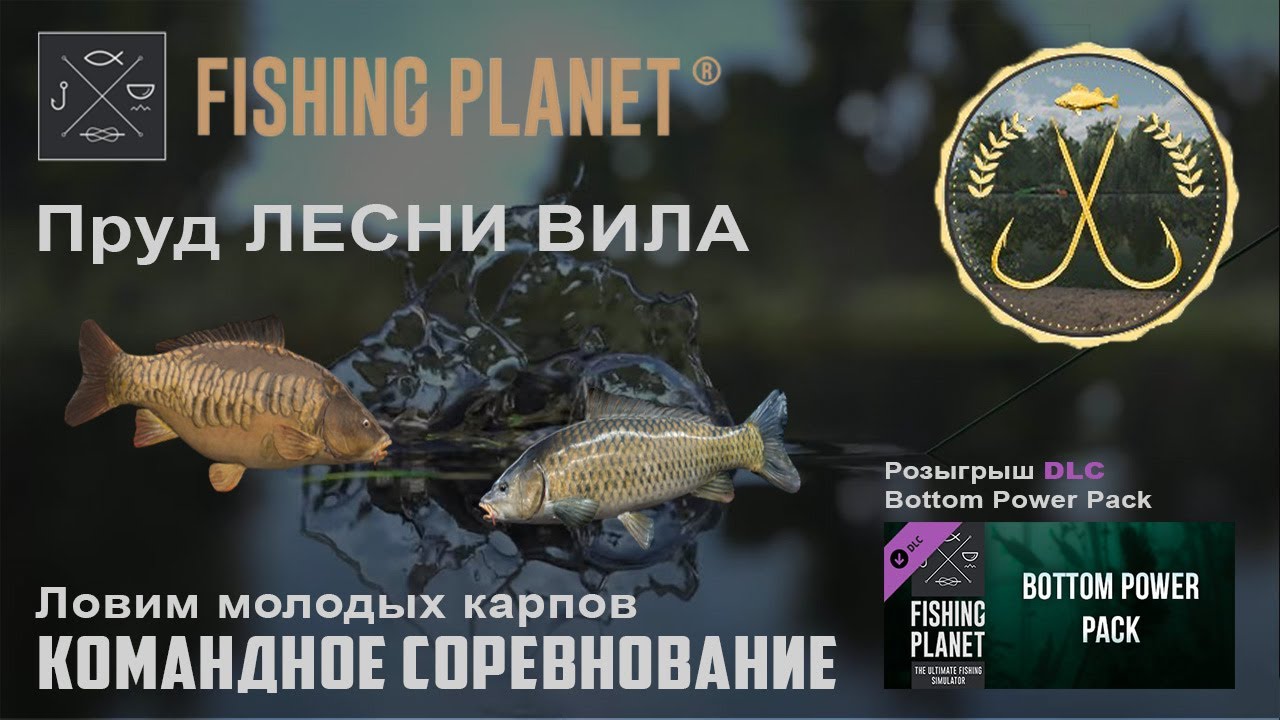 Fishing Planet - Пруд ЛЕСНИ ВИЛА : (Спонсируемое командное соревнование) Розыгрыш DLC