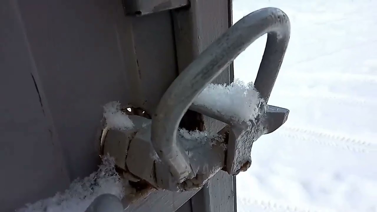 Ворота в лесу