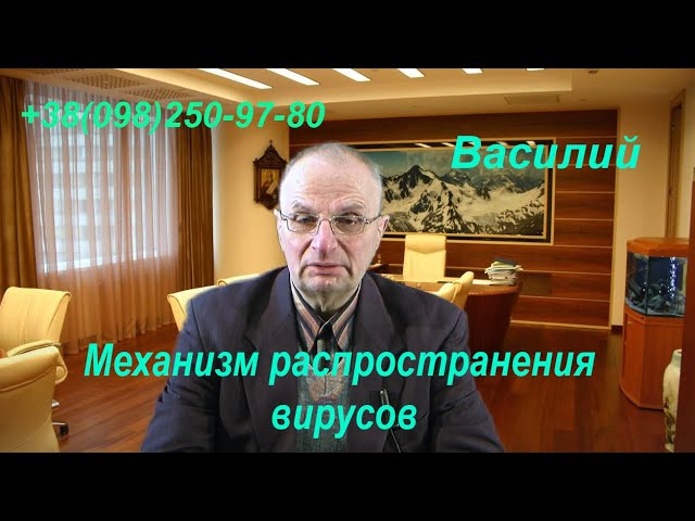 Механизм распространения вирусов. Беседы о насущном. Василий
