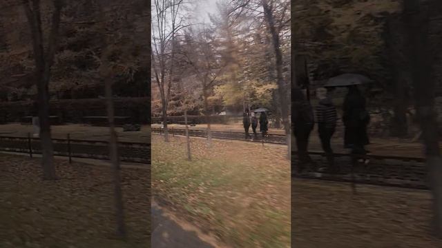 КУДА ОБЯЗАТЕЛЬНО ХОЖУ В ЛЮБОМ ГОРОДЕ? 3 часть. Октябрь 2025