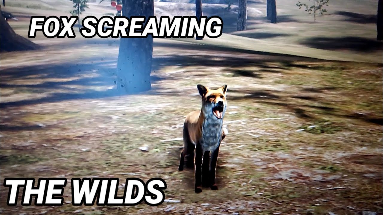 Лиса кричит The WILDS