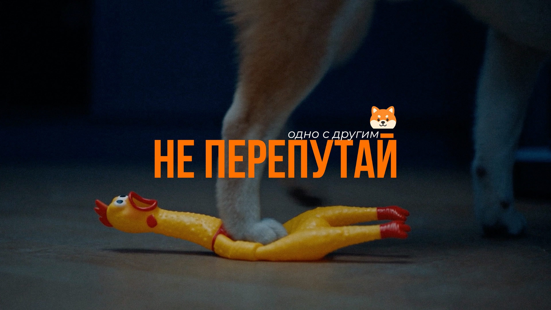 Не перепутай / BYEDINOROG.PRO