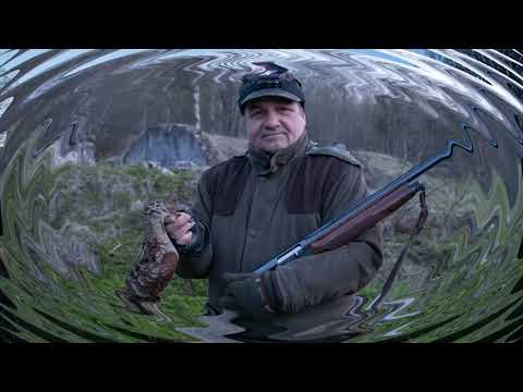 Вальдшнеп весной Как добыть и как приготовить