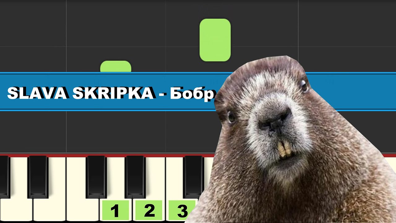 SLAVA SKRIPKA - Бобр | Piano Cover