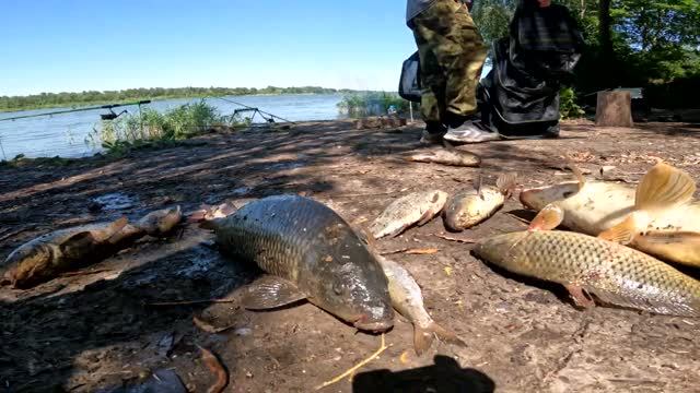 Рыбалка!!!