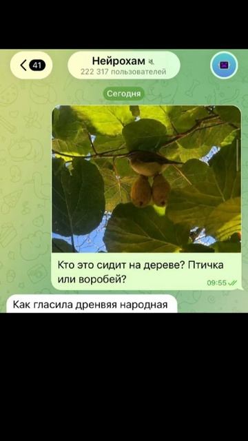 воробушек и яички