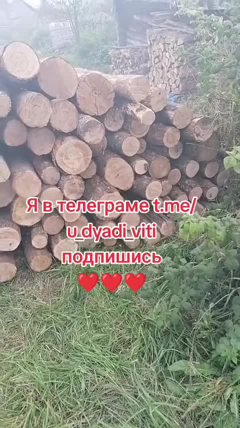 Заготовка дров на баню. #дрова #баня #лес #дядявитя