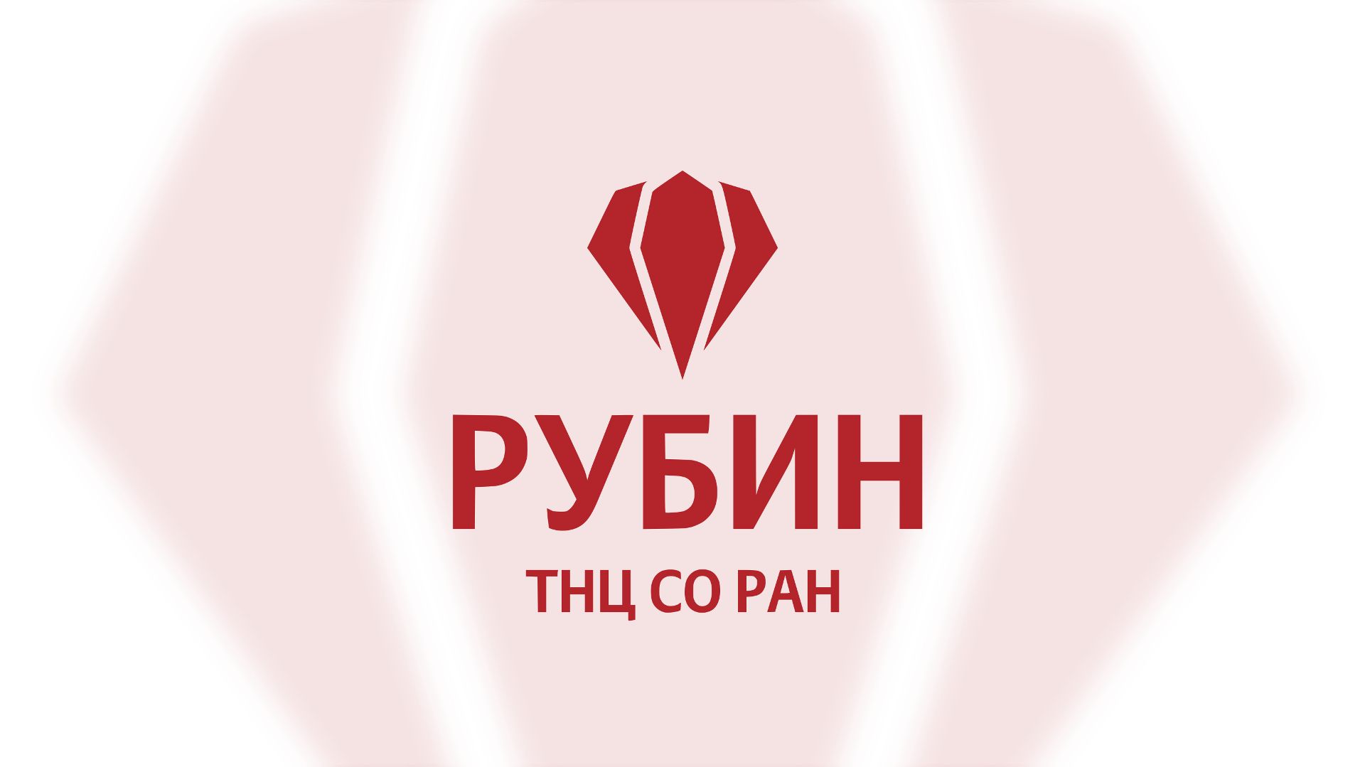 МК РАН-2026 тест