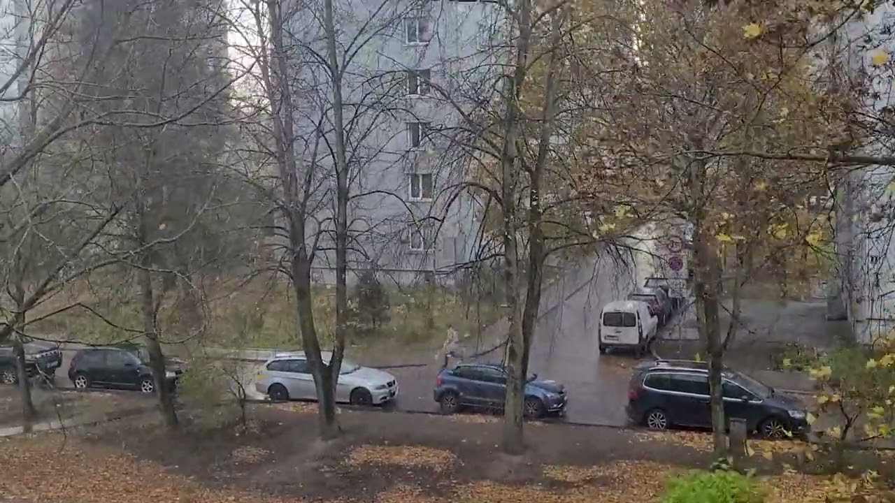 Порыв ветра 1 ноября 2024