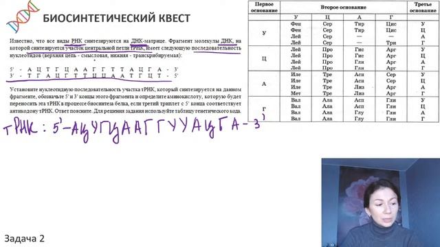 Биосинтетический Квест | Решение задач типа 