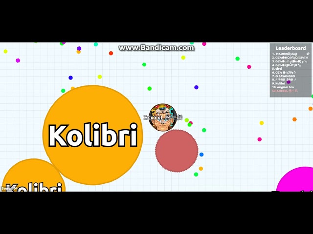 Agar.io  Просто Обычный Фан