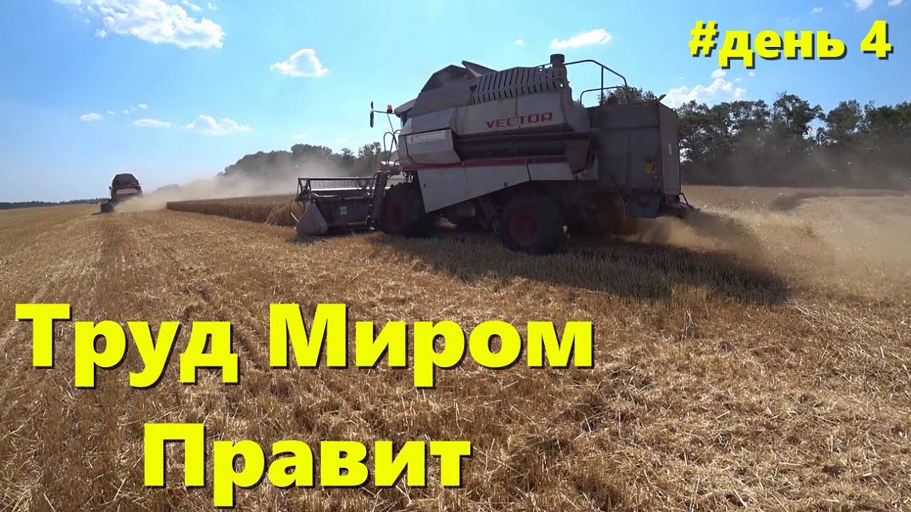 Уборочная Страда 2023 / Хлебный Рай Краснодарский Край /Урожай Зерновых 2023/ История одного поля