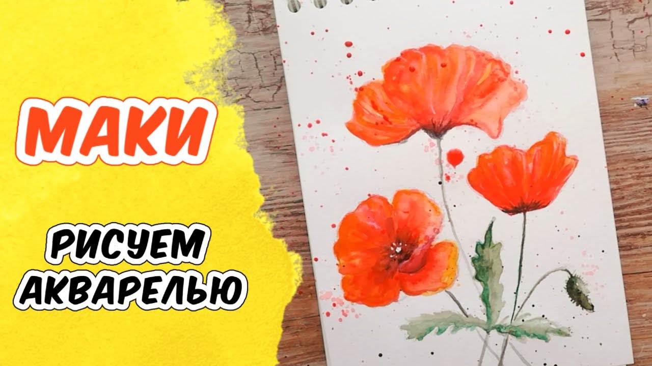 Как нарисовать маки акварелью  Урок рисования для начинающих