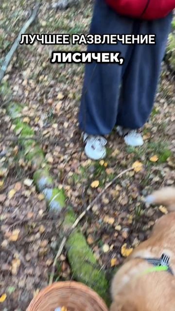Это очень весело🥰