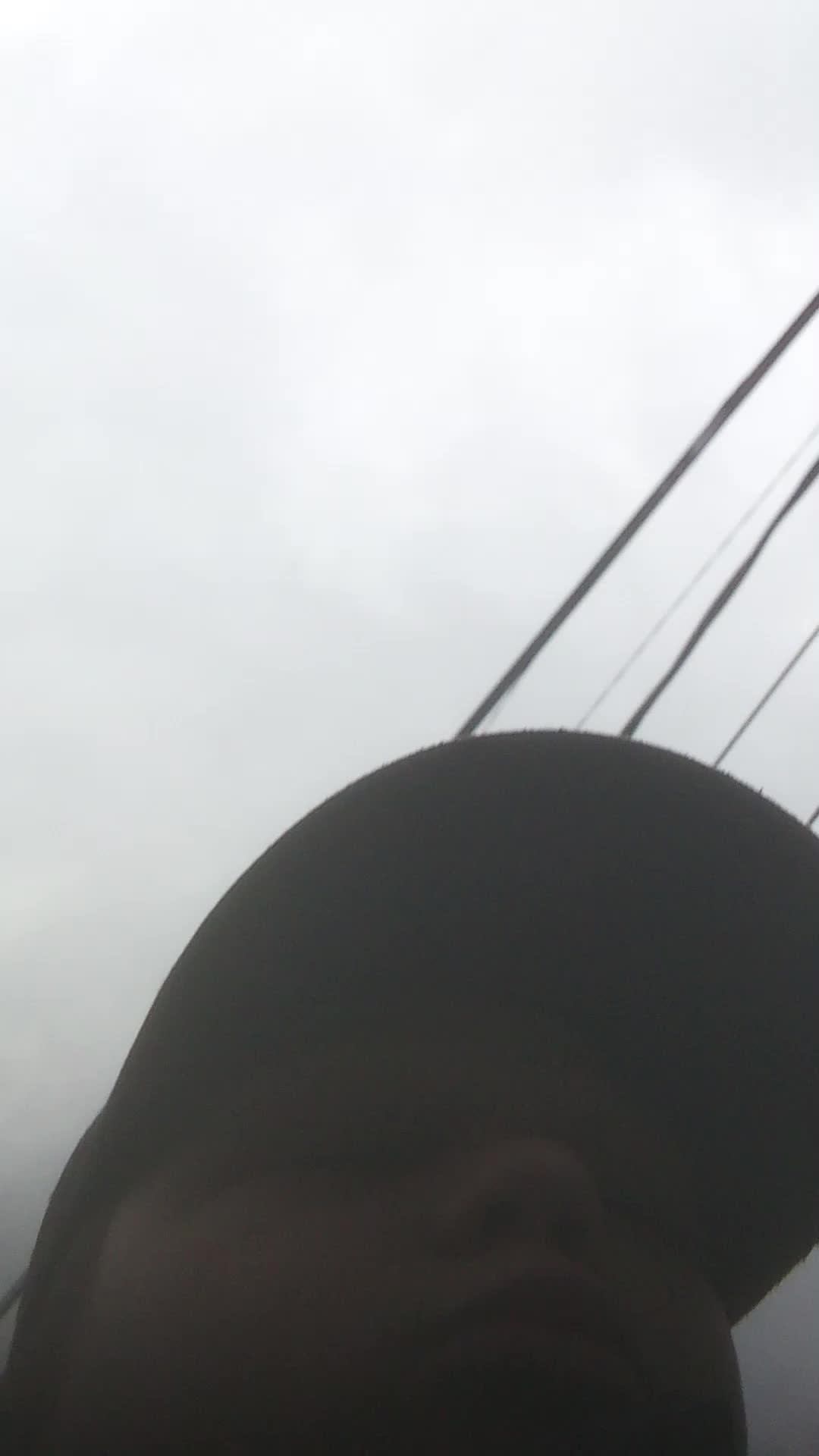 pokoyo2015 2