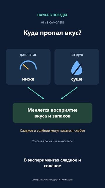 Развивашки - познавашки