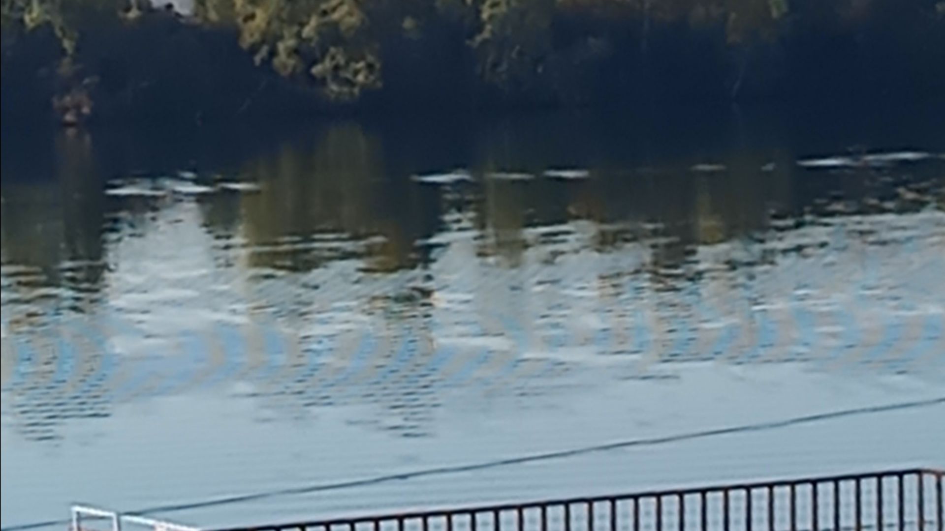 Не люблю морозы.