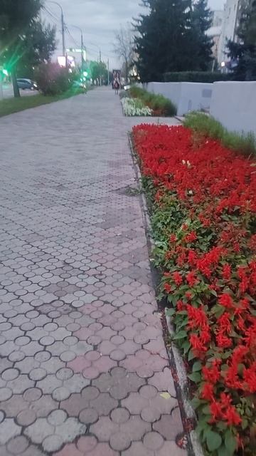29-09-2026 ул.Высотная