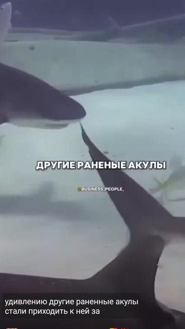 Доброта не прошла даром