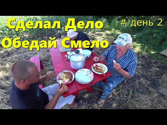 РАЗГАР Уборки Озимой Пшеницы 2023 / Жнива /Пшеница Алексеевич Урожай 2023