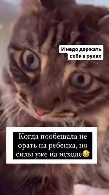 MOV_20260929_070711_975